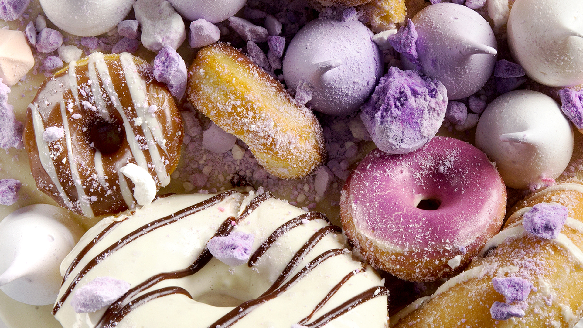 専門学校・教育機関向け VMD実践教育プログラム