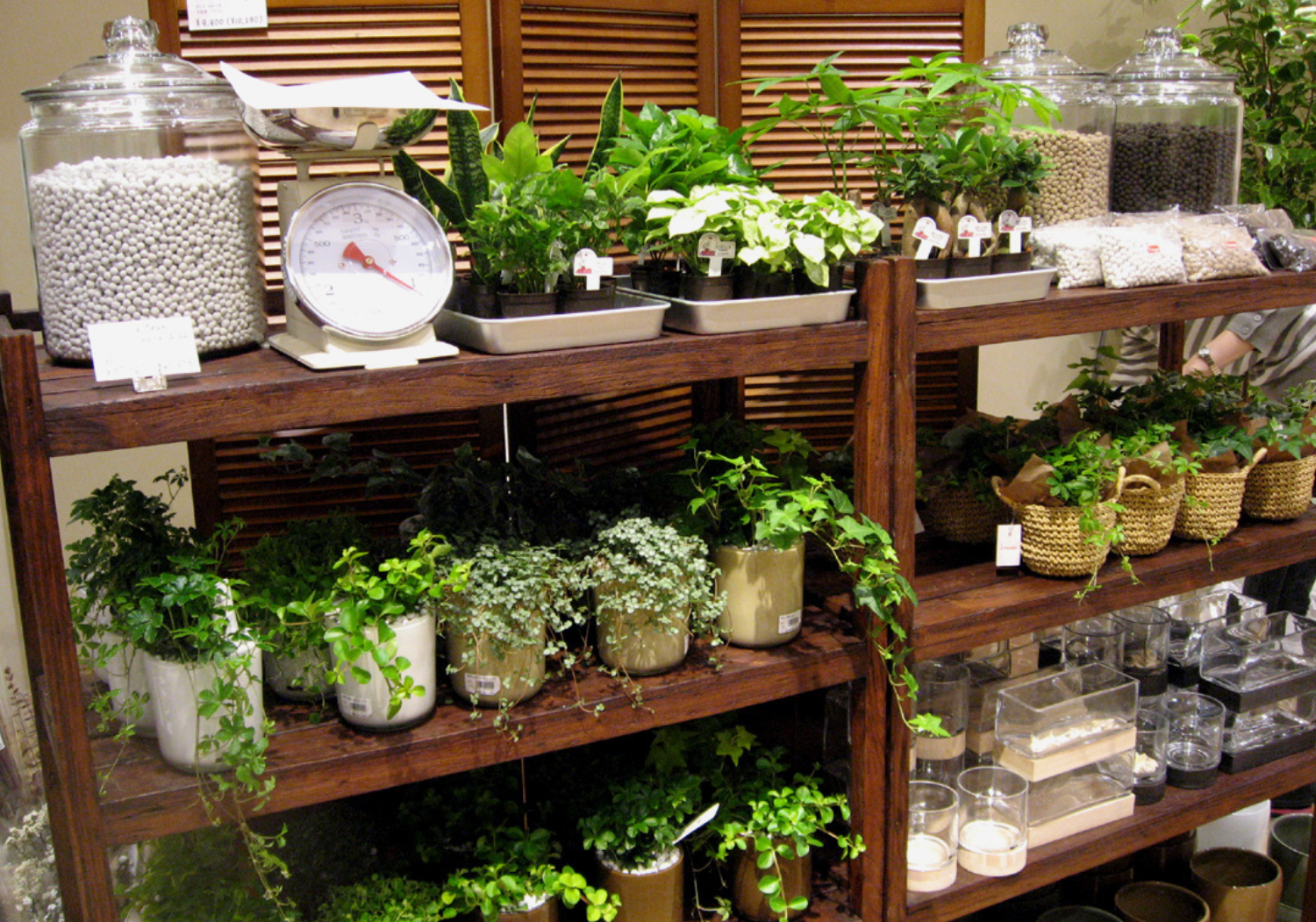 実務で「流通」を学ぶ